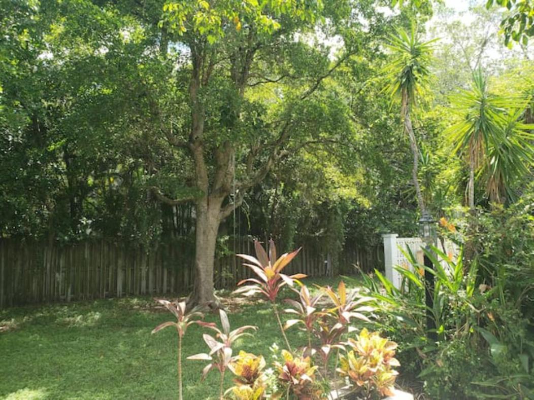Apts With Backyard Near Fort Lauderdale Beach, Nightlife, Cruise Port, Airport Esterno foto